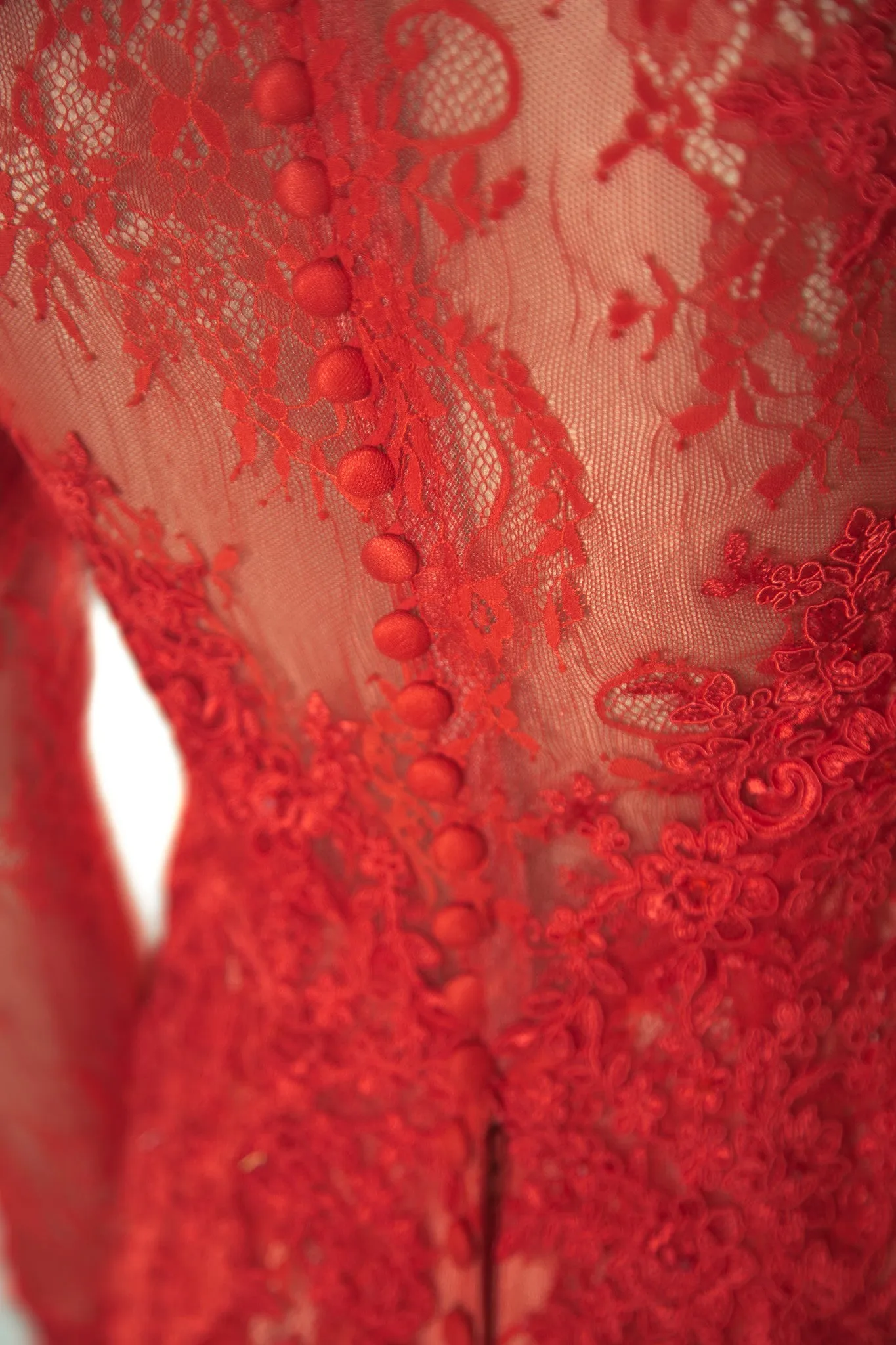 Red Long Sleeve Lace Gown (#Bella)